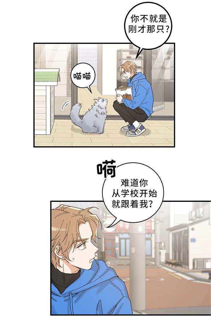 第1章：传说