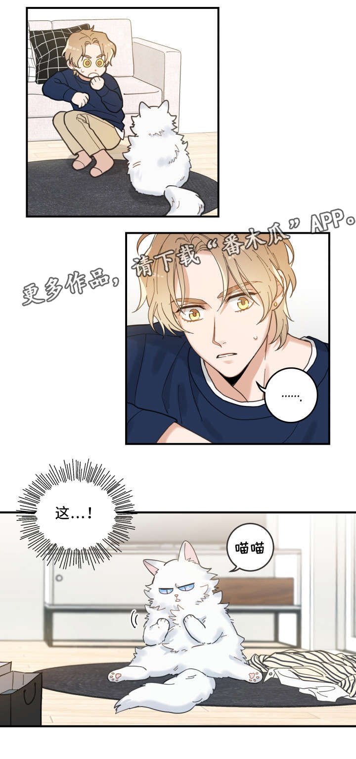 第10章：负责到底
