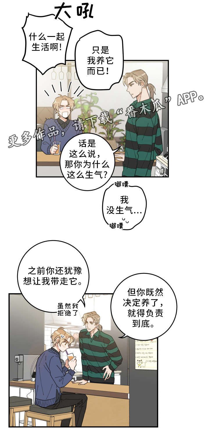 第10章：负责到底