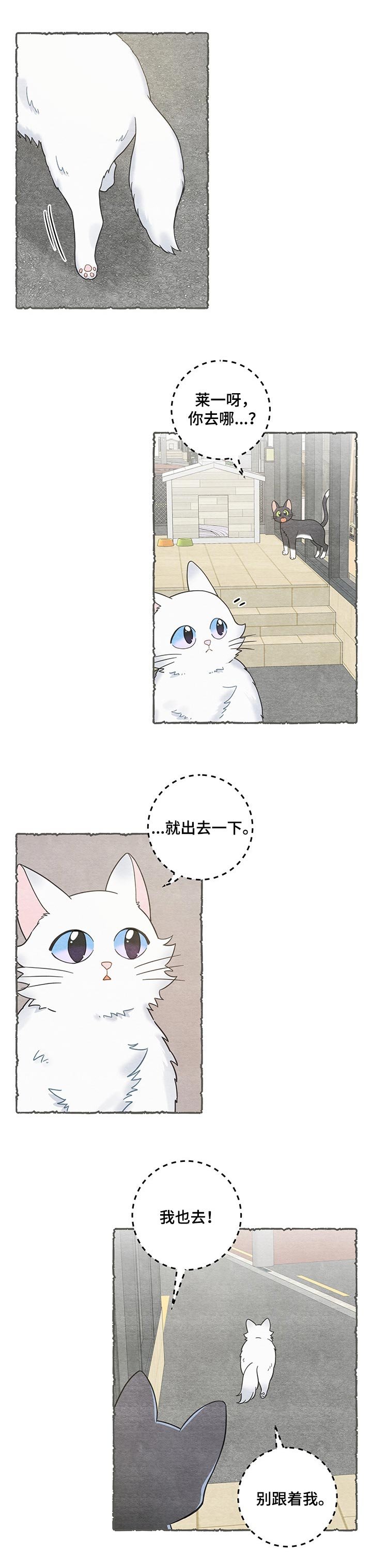 第101章：失踪了