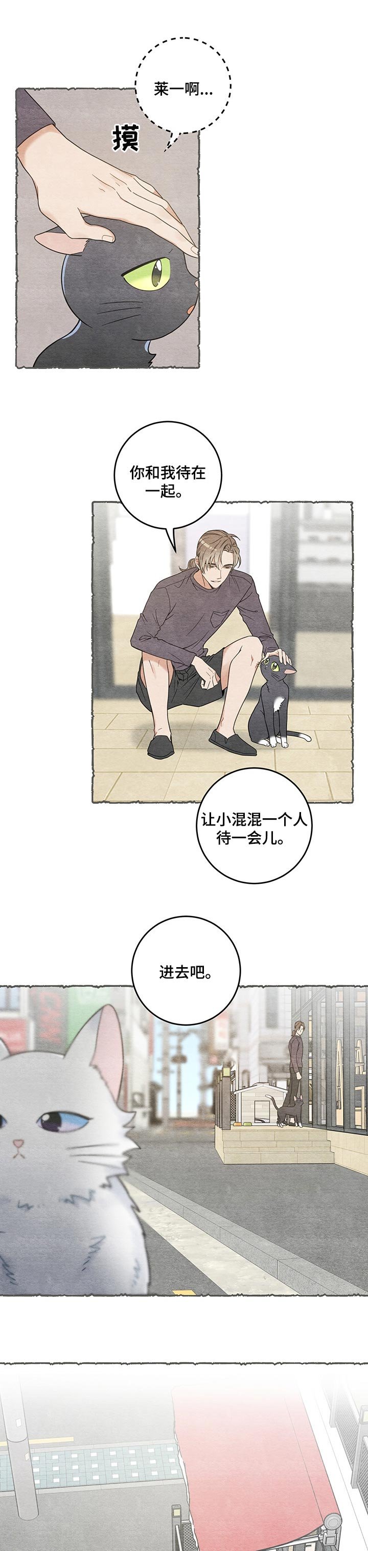 第101章：失踪了