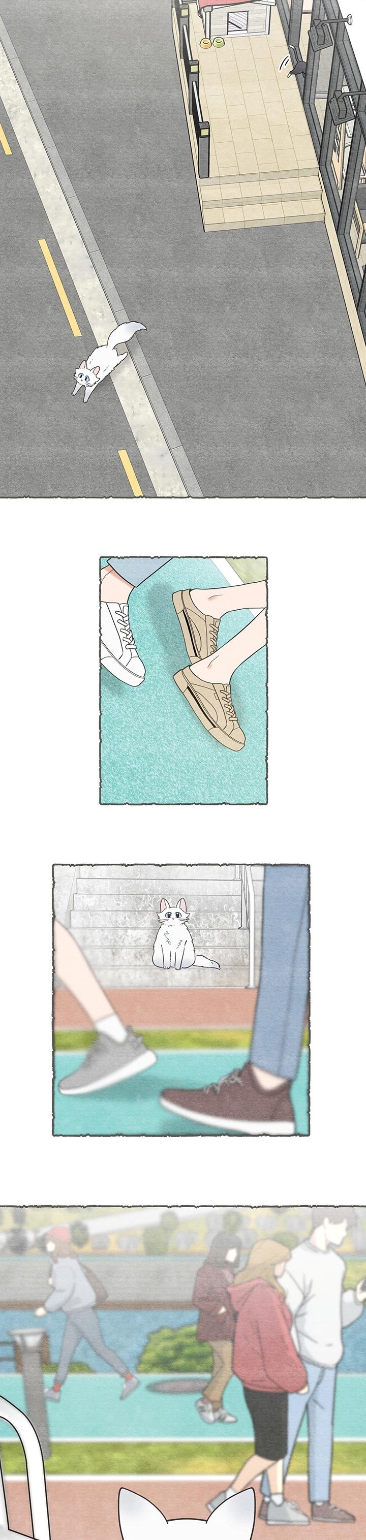 第101章：失踪了