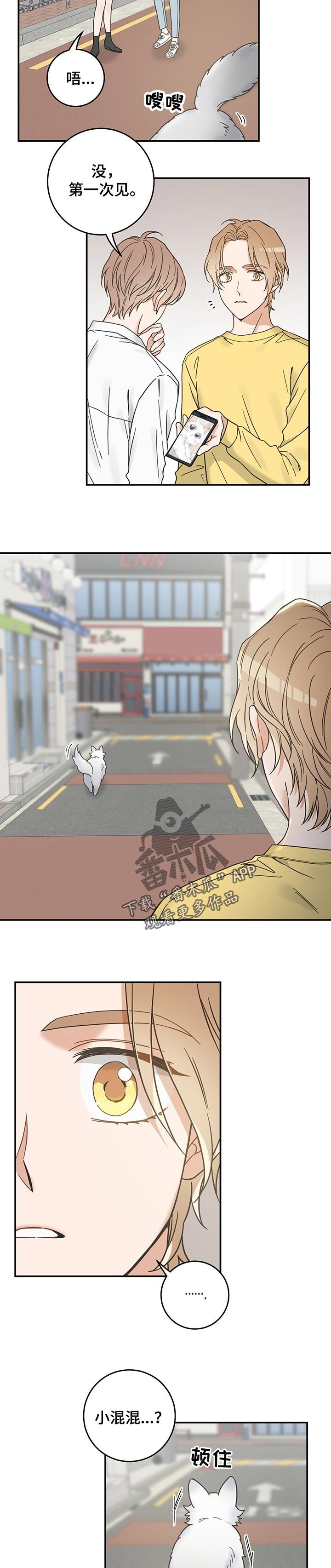 第103章：寻找