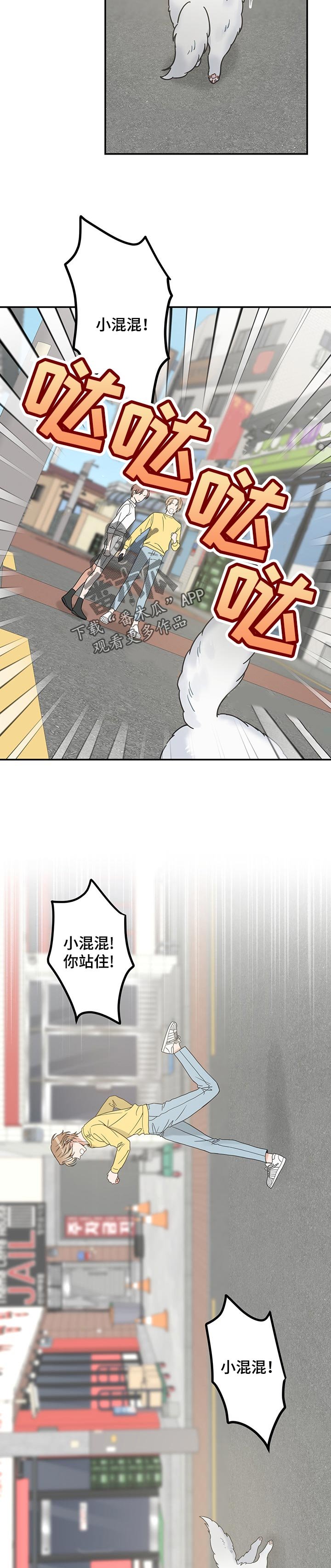 第103章：寻找