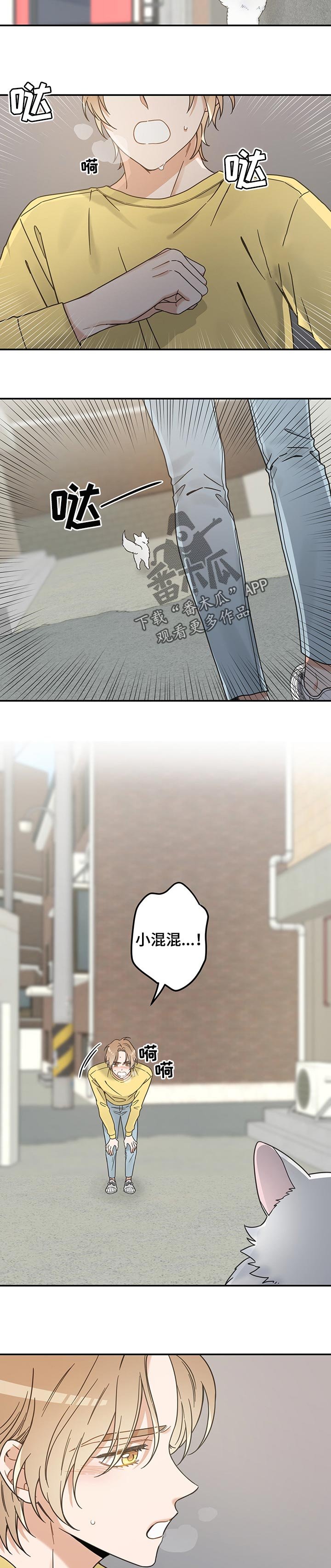 第103章：寻找