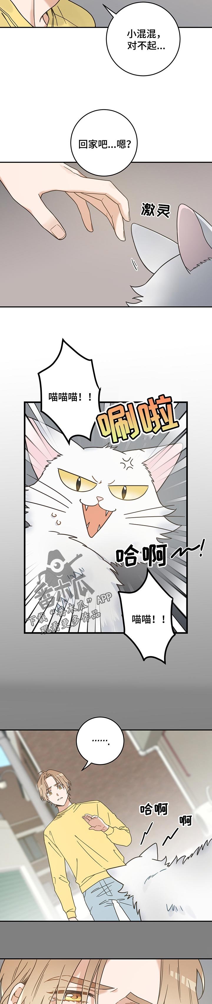 第103章：寻找