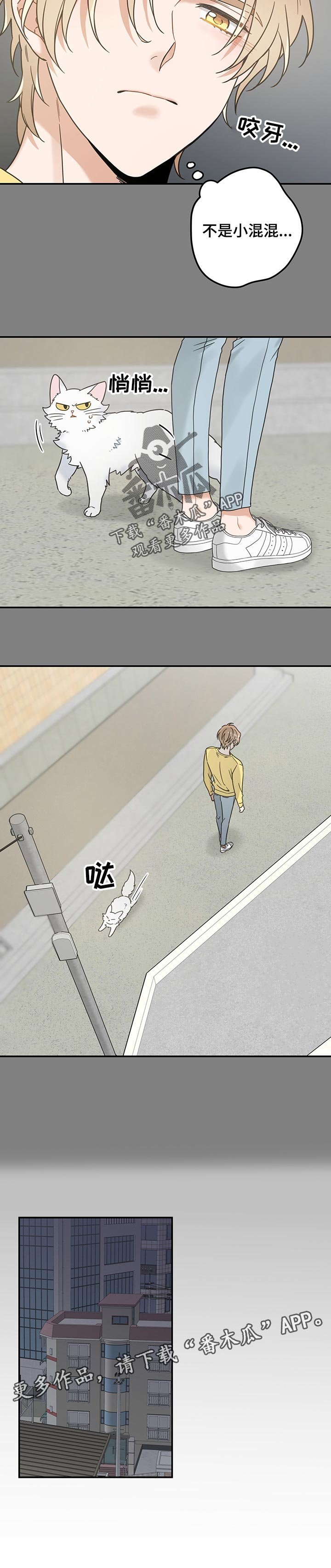 第103章：寻找