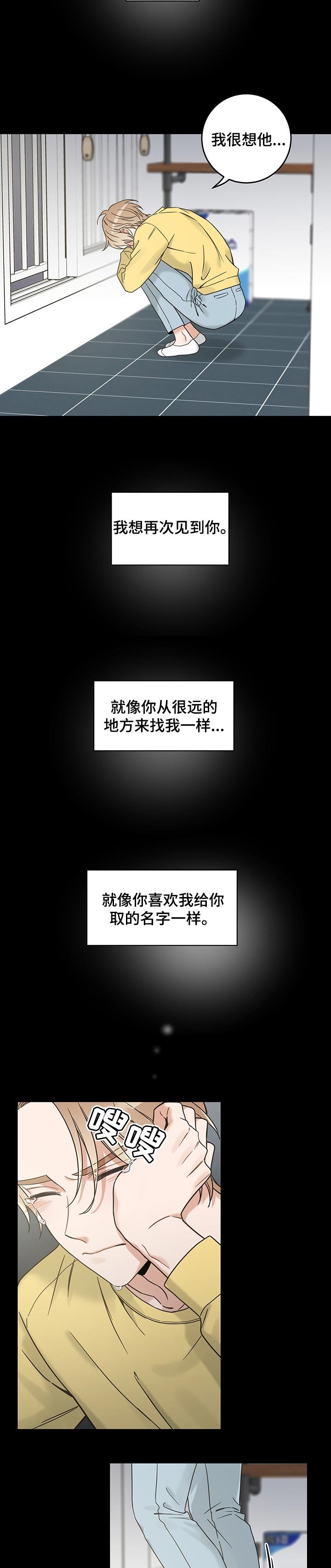 第104章：我想再次见到你