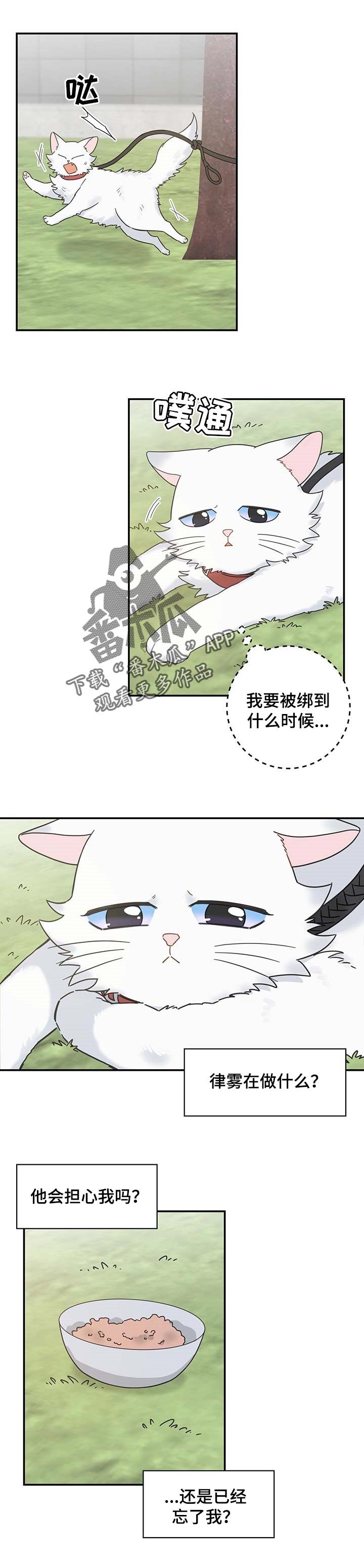 第107章：找到了