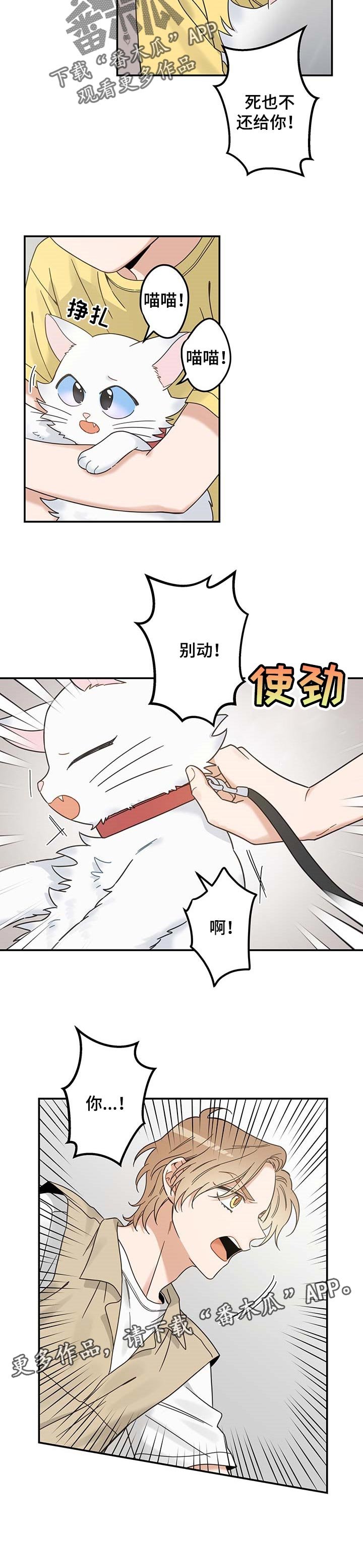 第107章：找到了