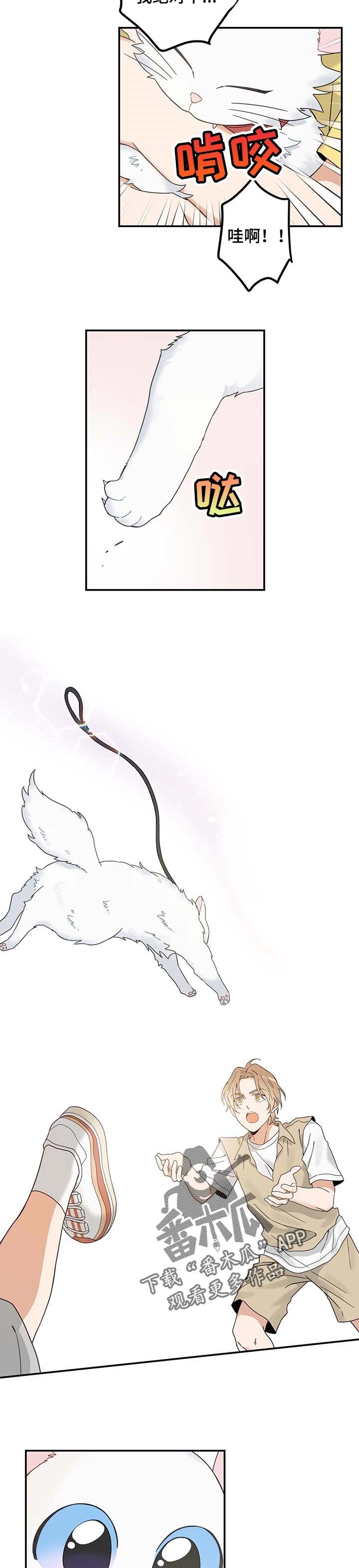 第108章：重逢
