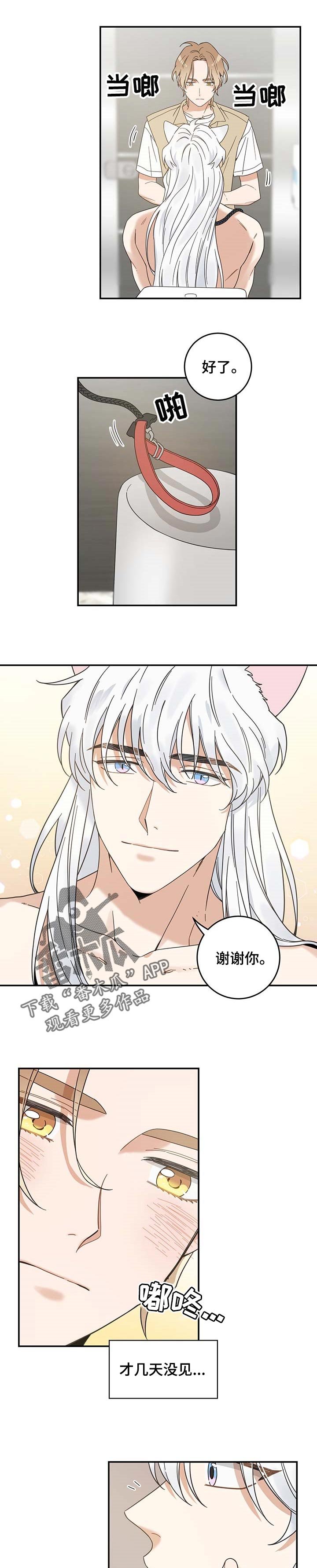 第109章：不要再乱跑了