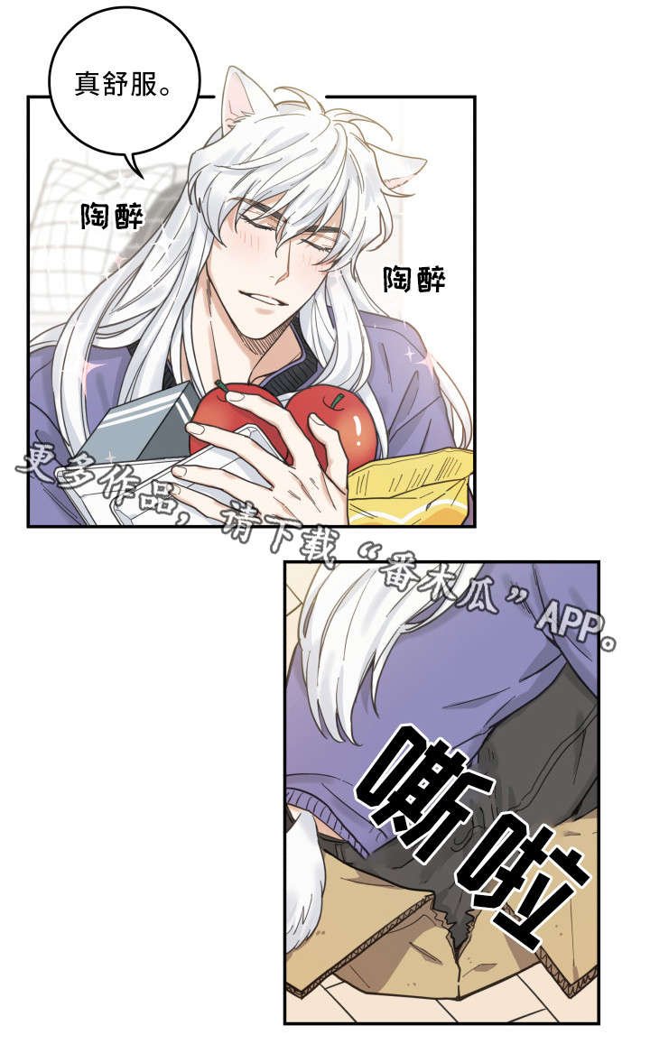 第11章：钻箱子