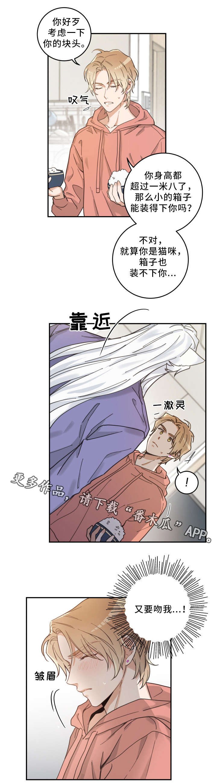 第11章：钻箱子