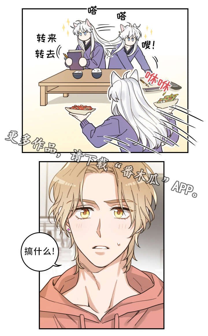 第11章：钻箱子