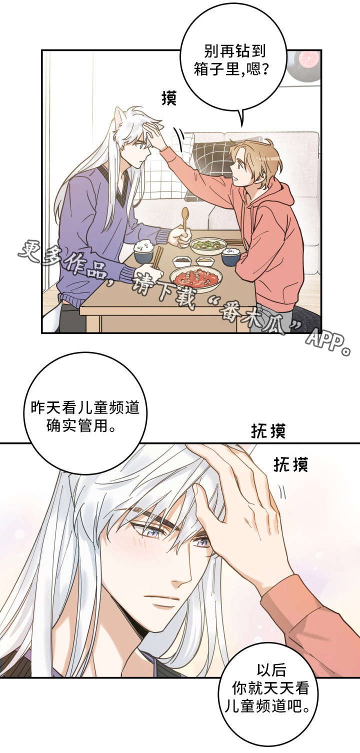 第11章：钻箱子