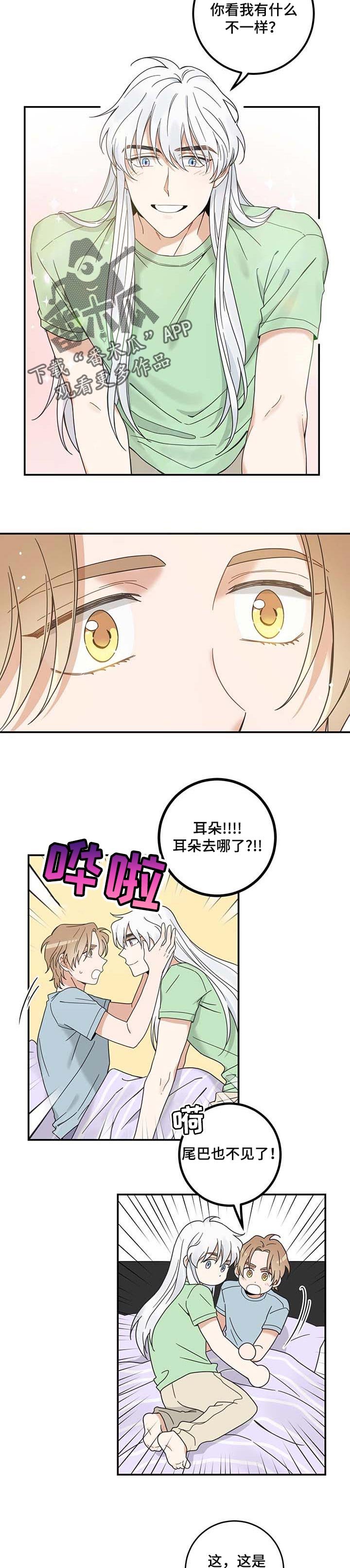第111章：变成人了