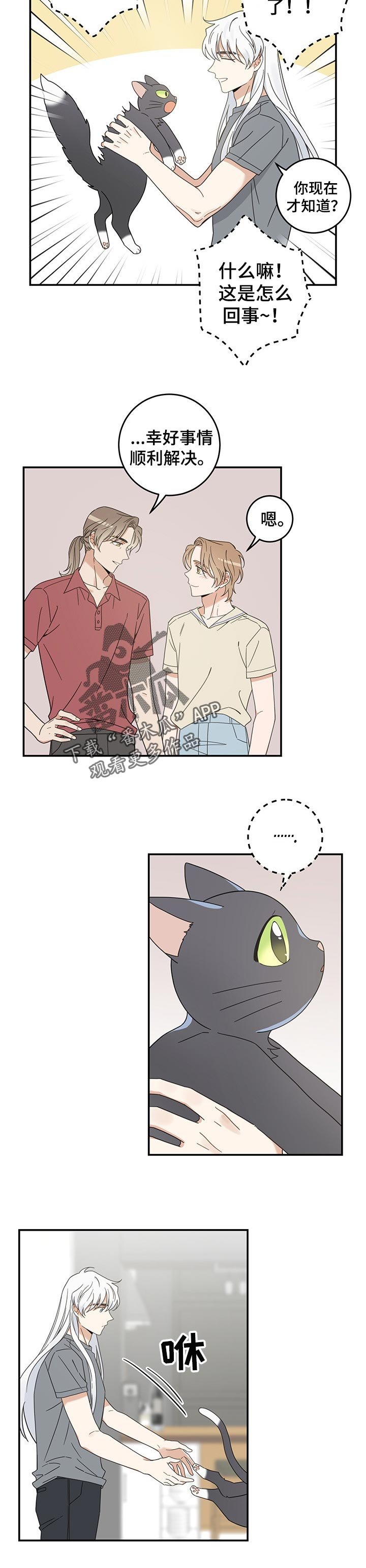 第112章：静待观察