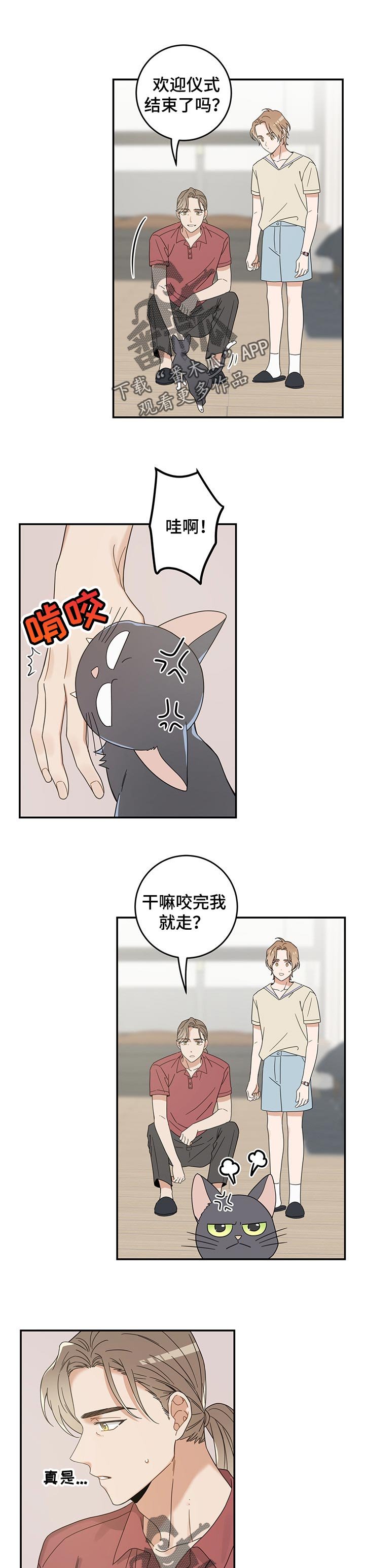 第112章：静待观察