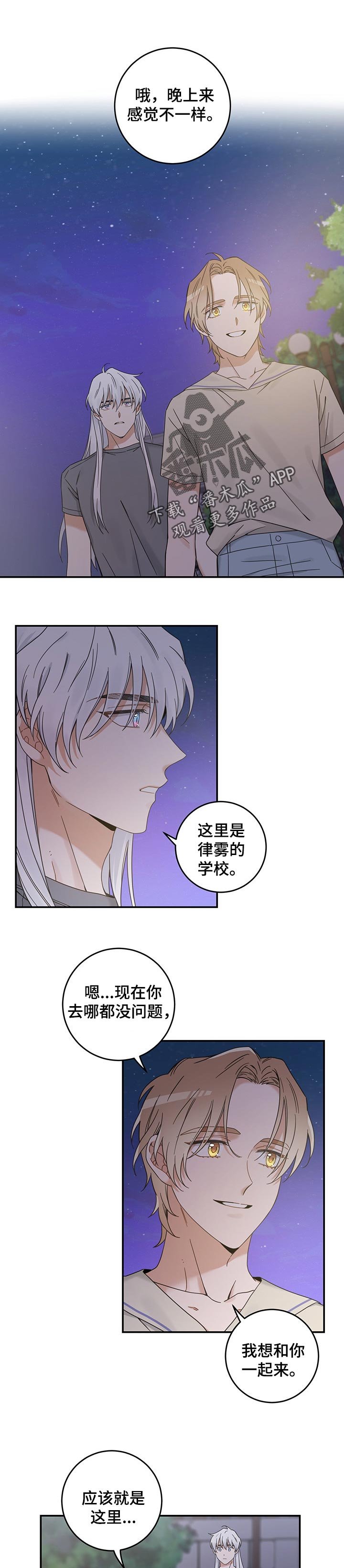 第113章：我唯一的猫【完结】