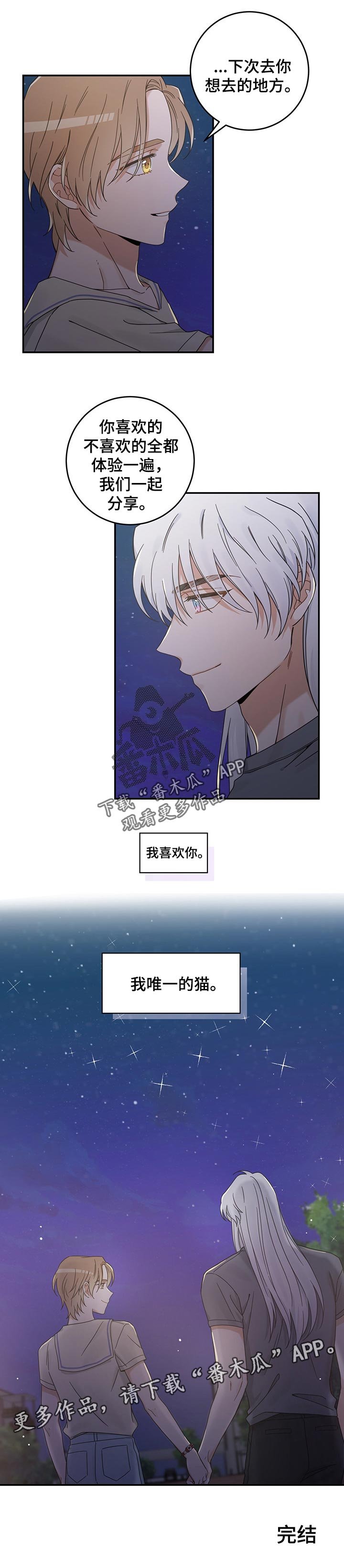 第113章：我唯一的猫【完结】