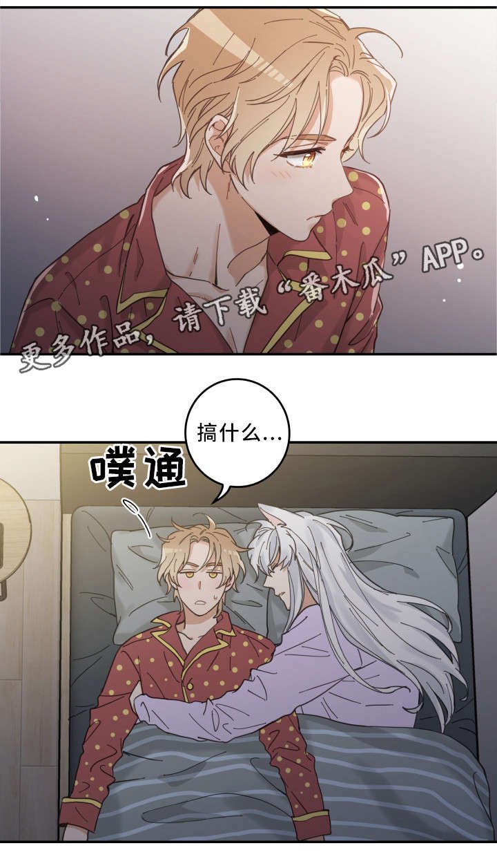 第12章：无事发生