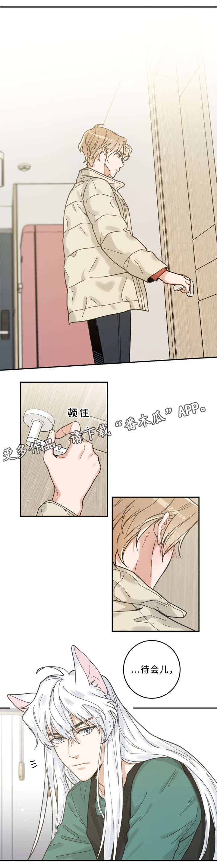 第14章：散步