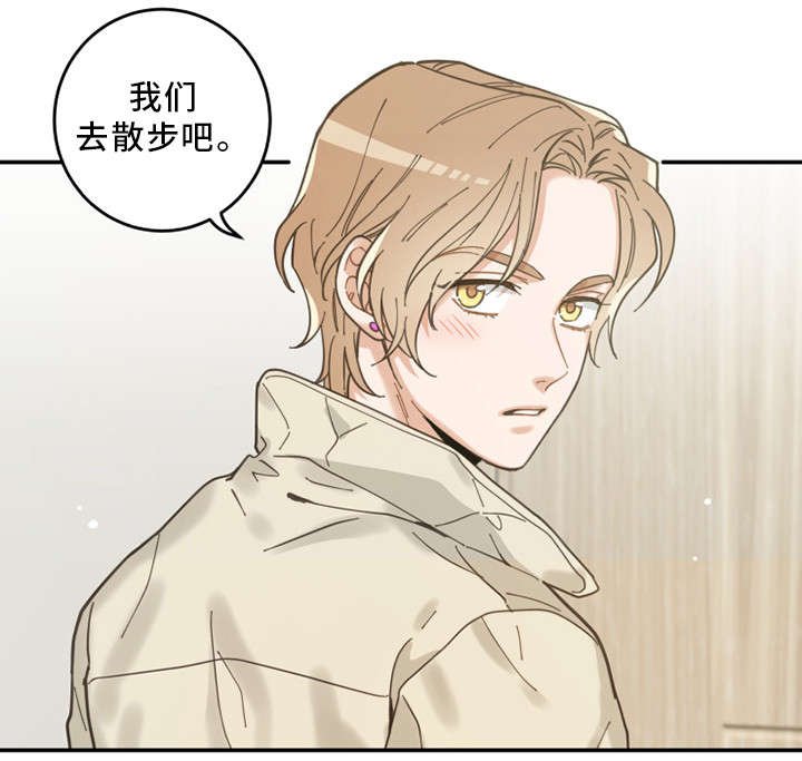 第14章：散步