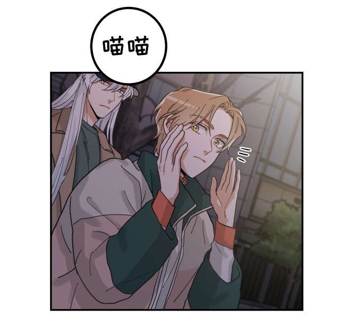 第14章：散步