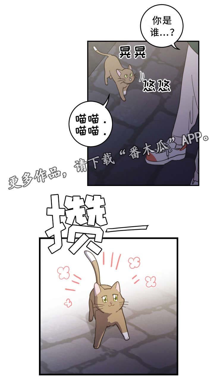 第15章：抓伤