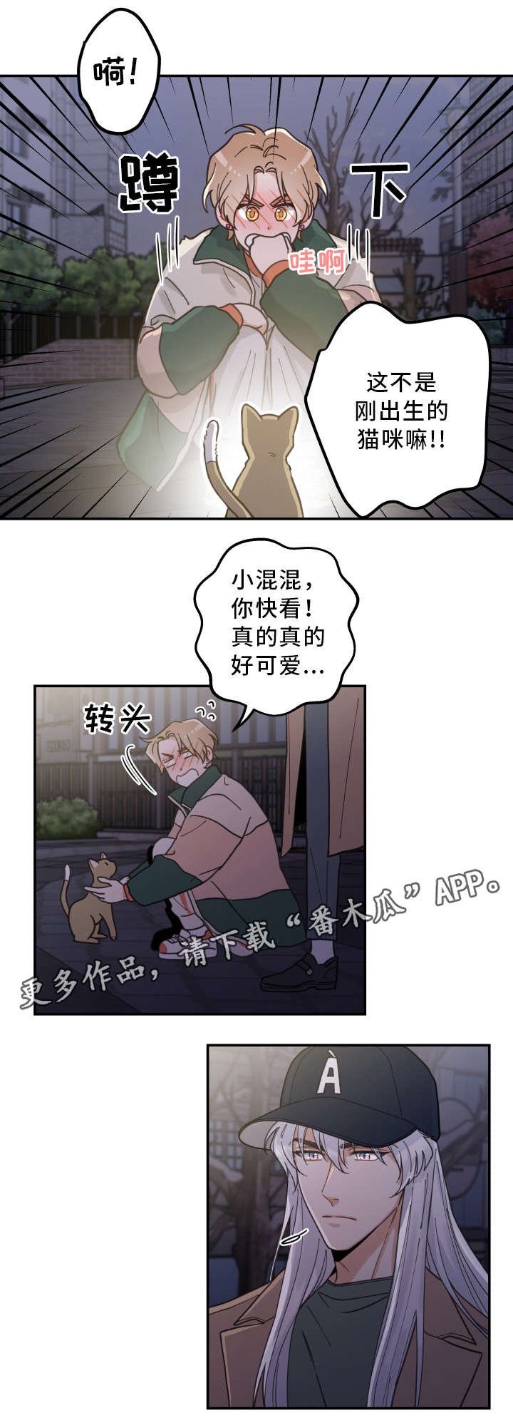 第15章：抓伤