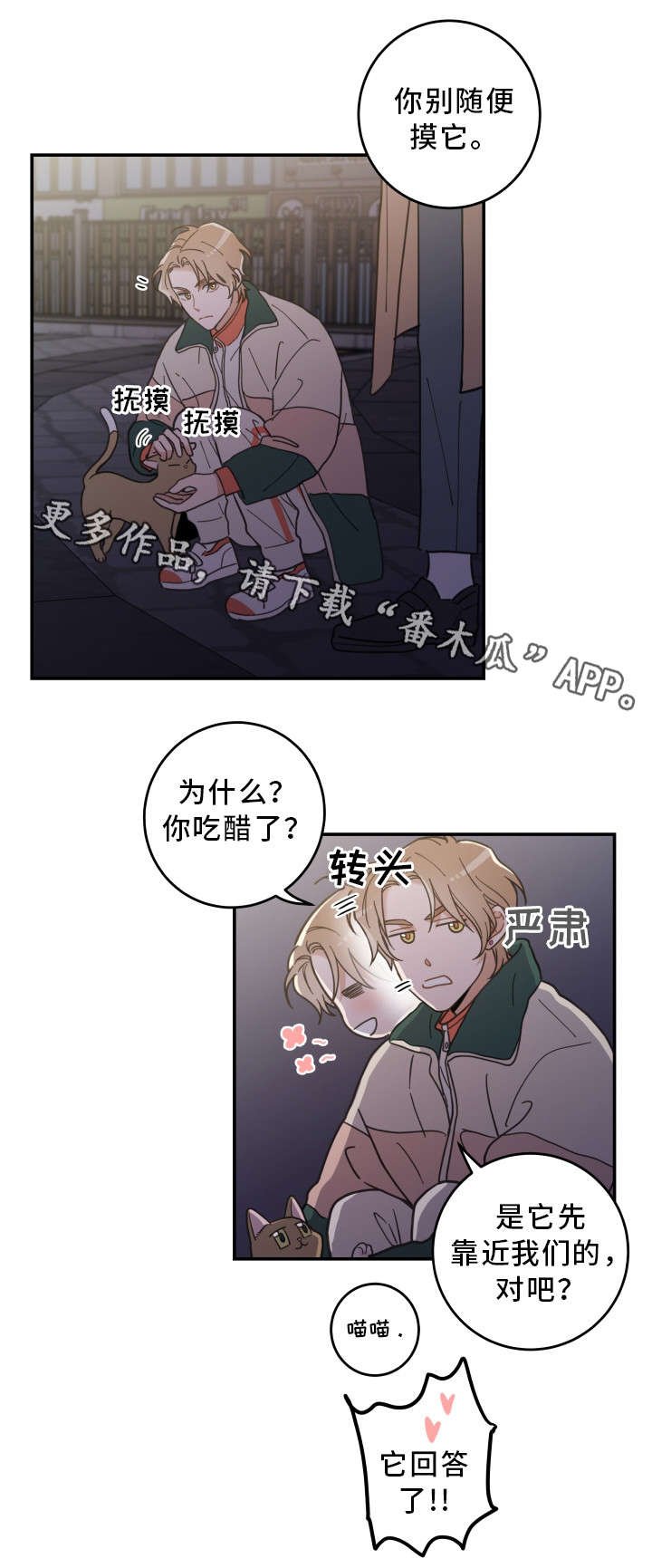 第15章：抓伤
