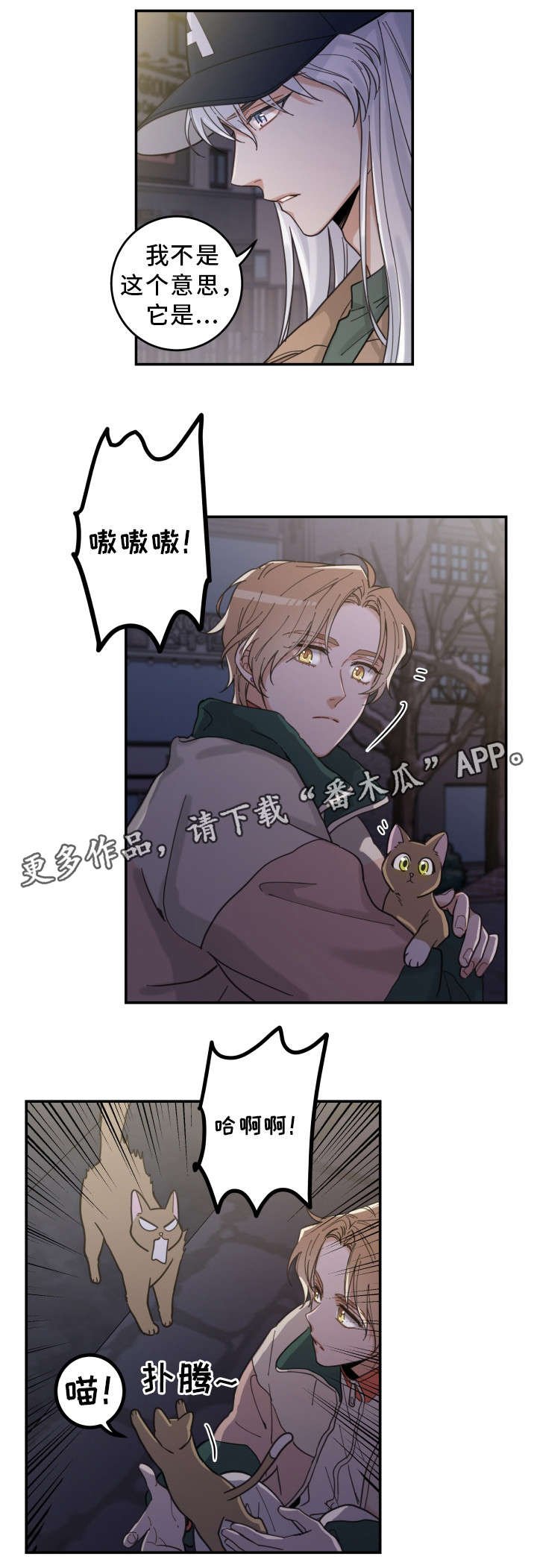 第15章：抓伤