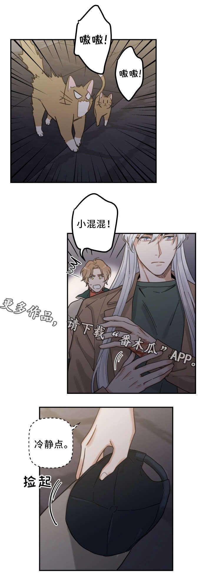 第15章：抓伤