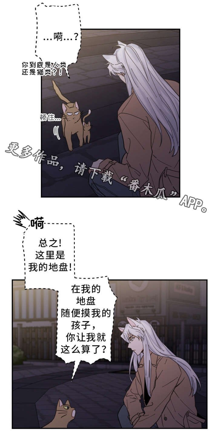 第15章：抓伤