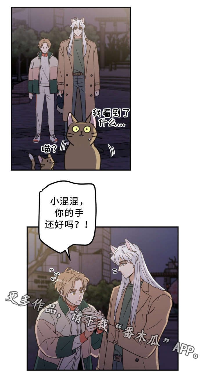 第15章：抓伤