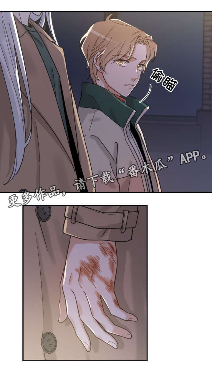 第15章：抓伤