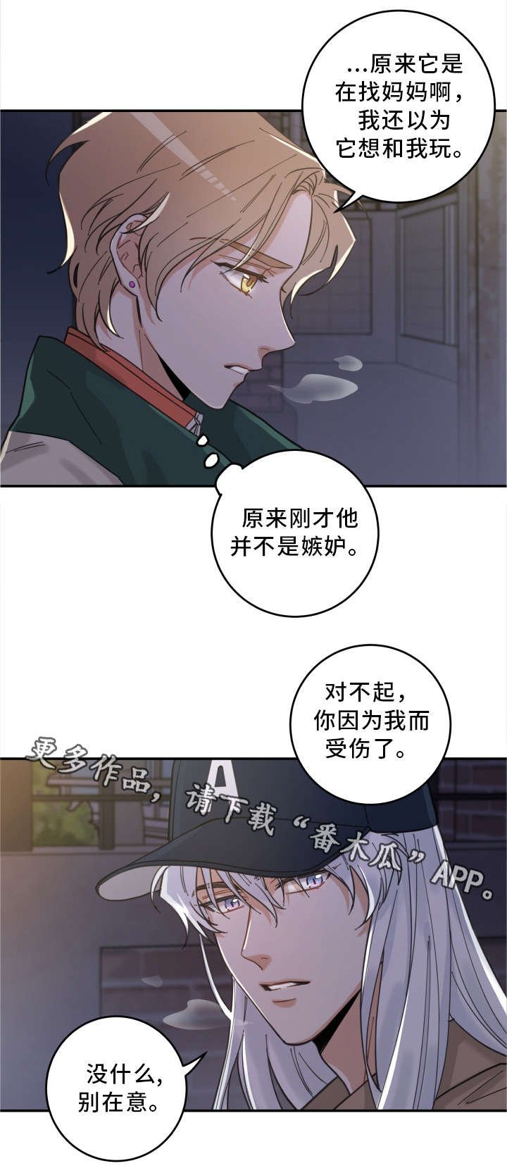 第15章：抓伤