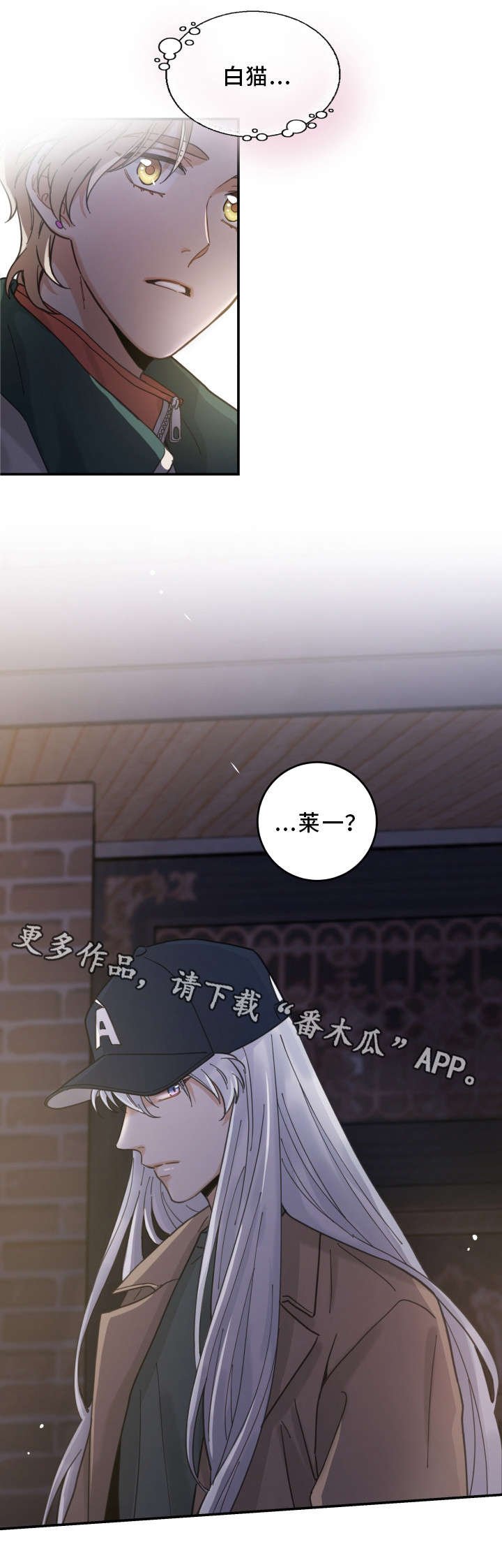 第16章：白猫莱一