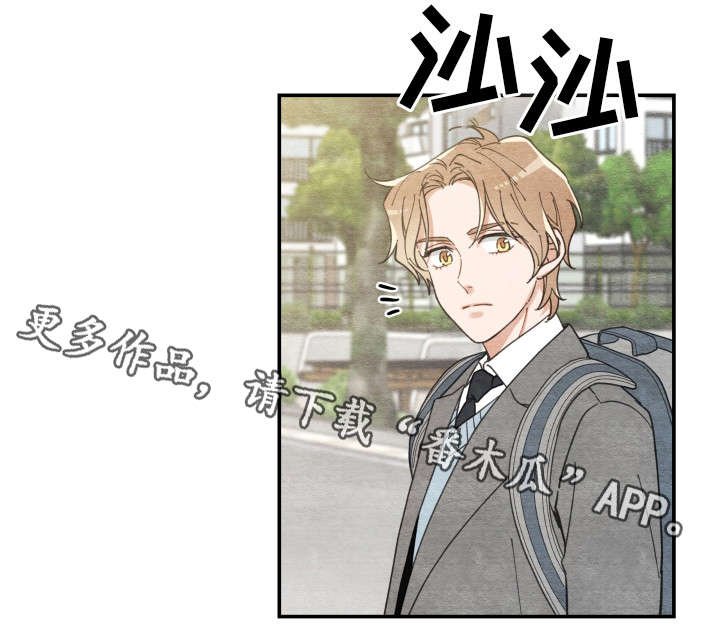 第16章：白猫莱一