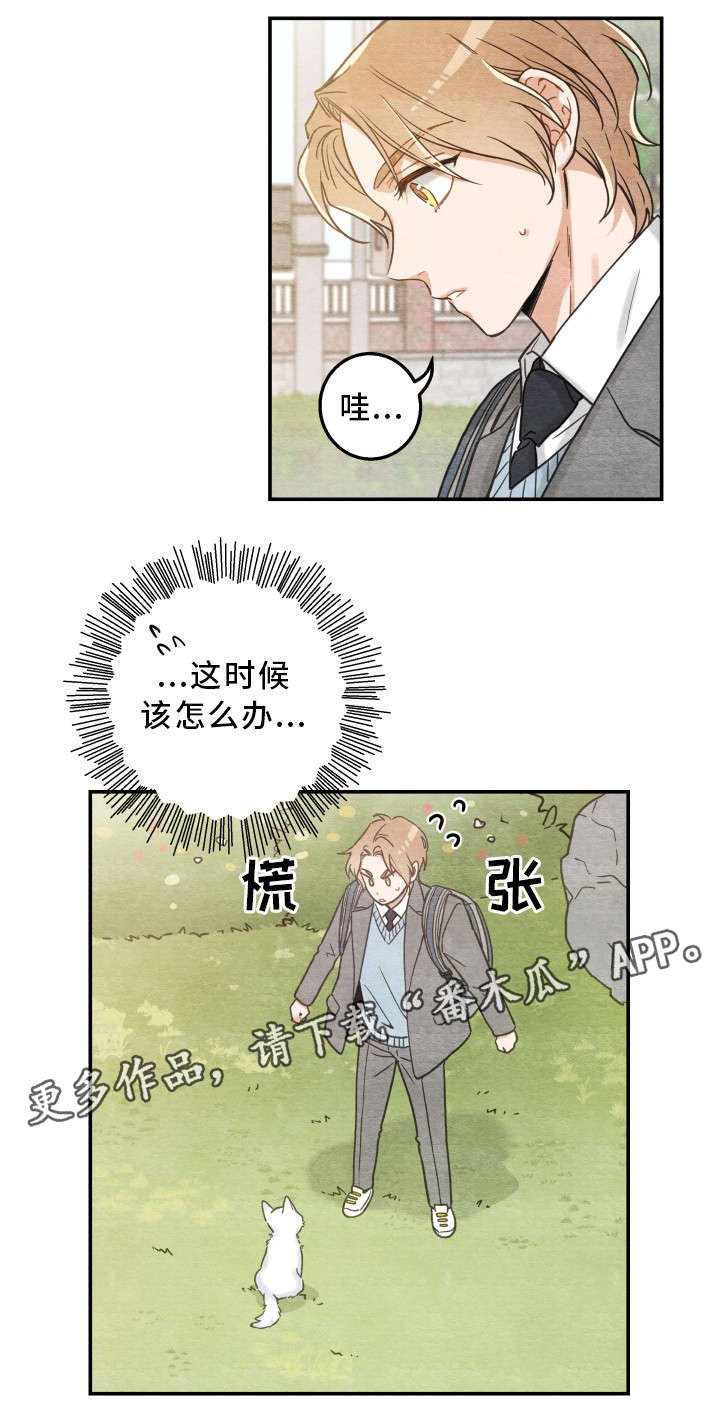 第16章：白猫莱一