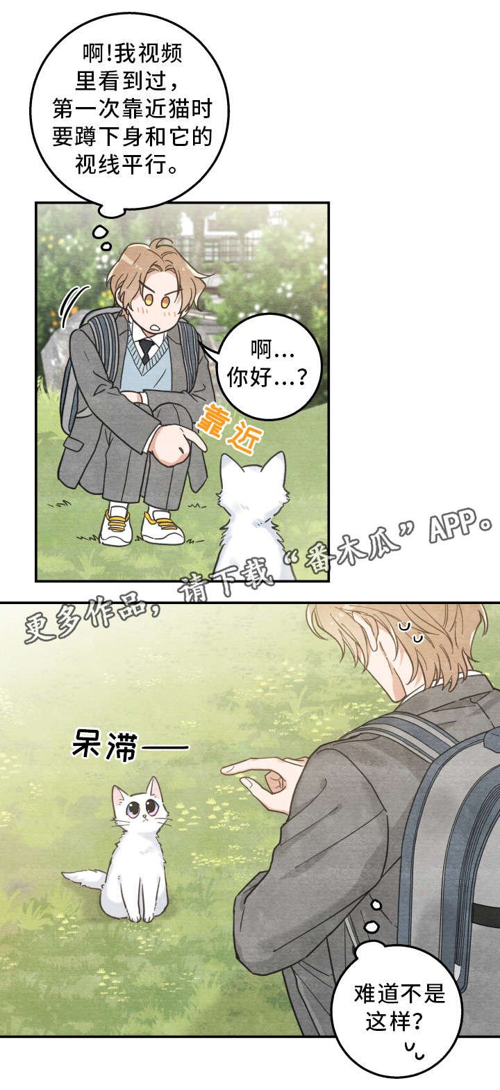 第16章：白猫莱一