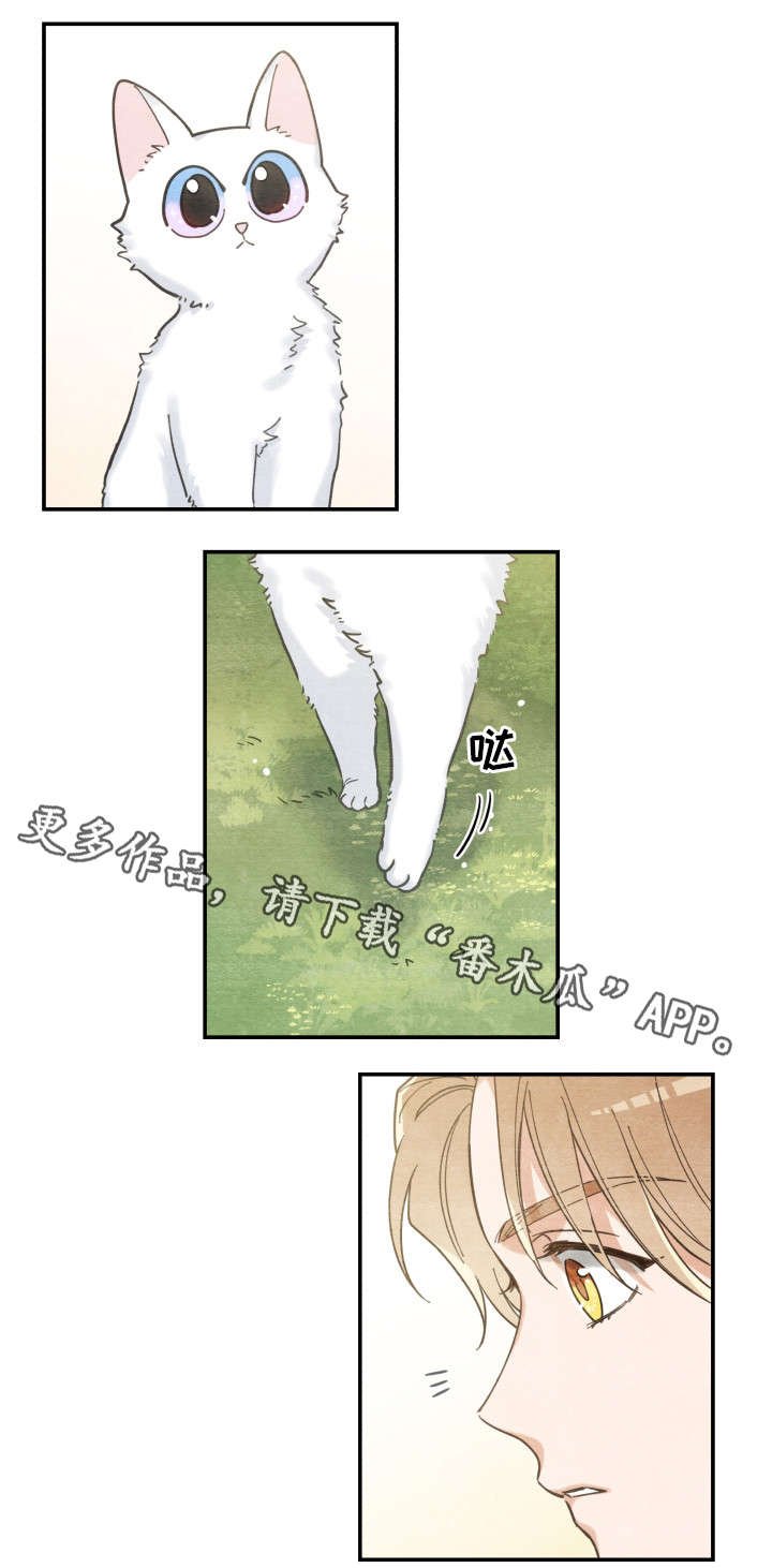 第16章：白猫莱一