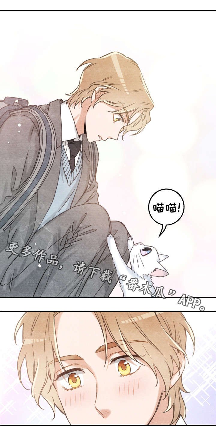 第16章：白猫莱一