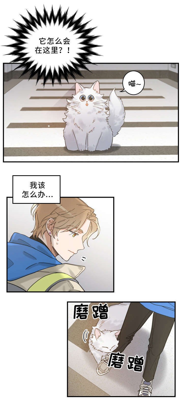 第2章：白猫