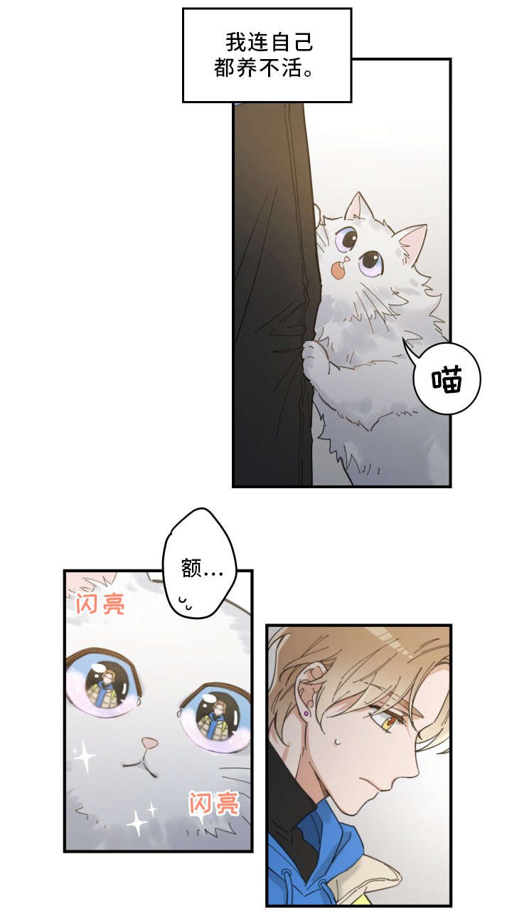 第2章：白猫