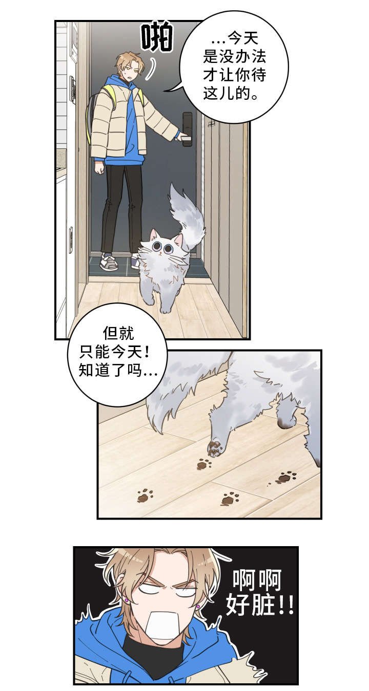 第2章：白猫