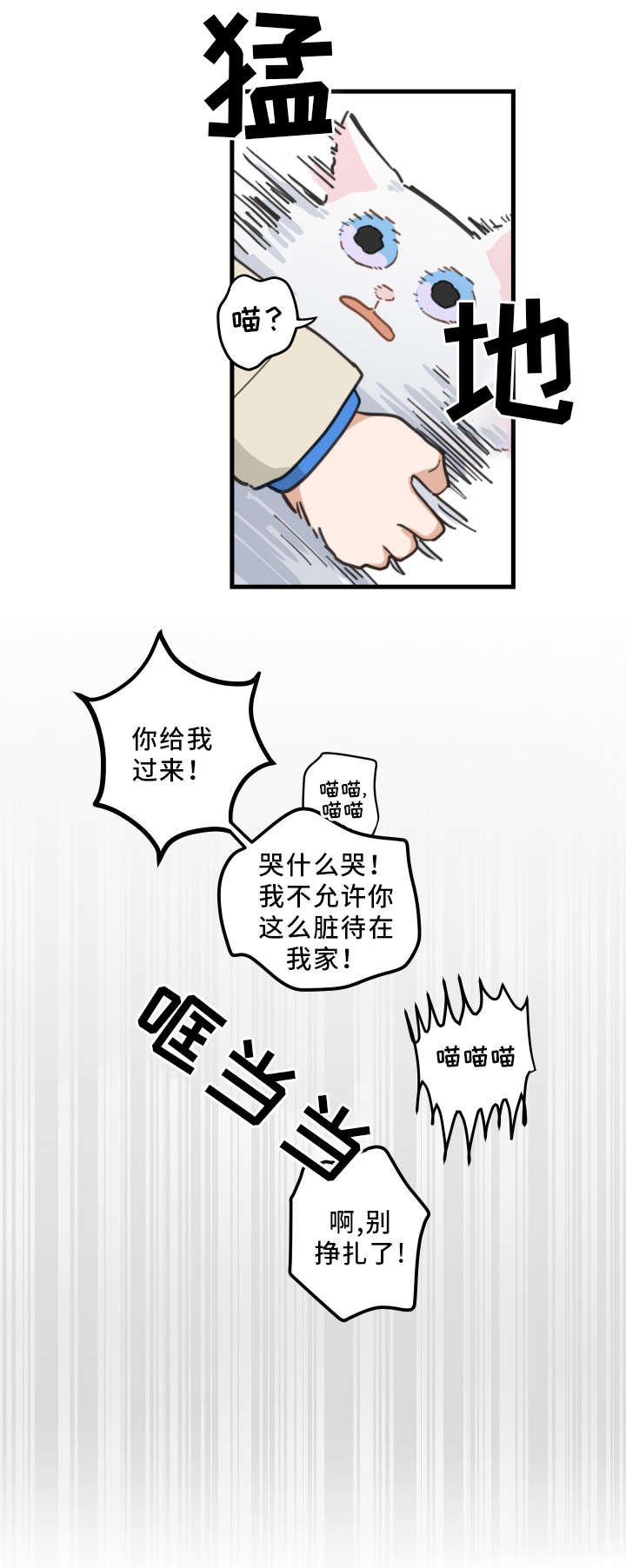 第2章：白猫