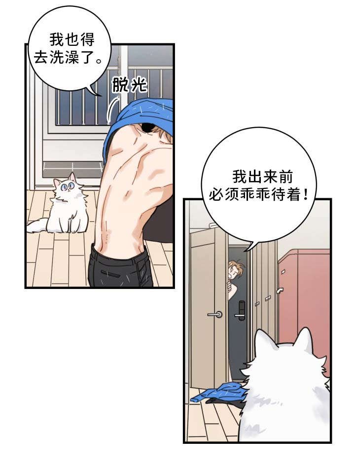第2章：白猫