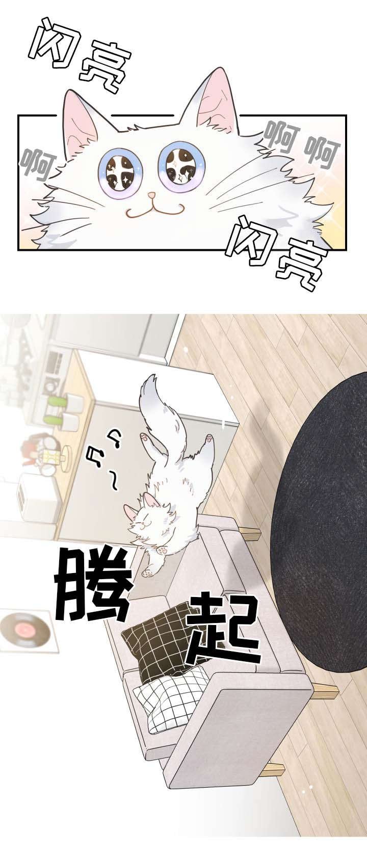 第2章：白猫